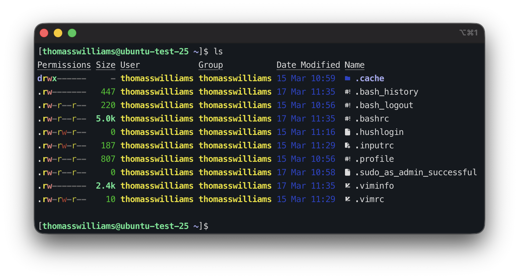 Running ls, seeing output from eza on Ubuntu 25.04 server command line