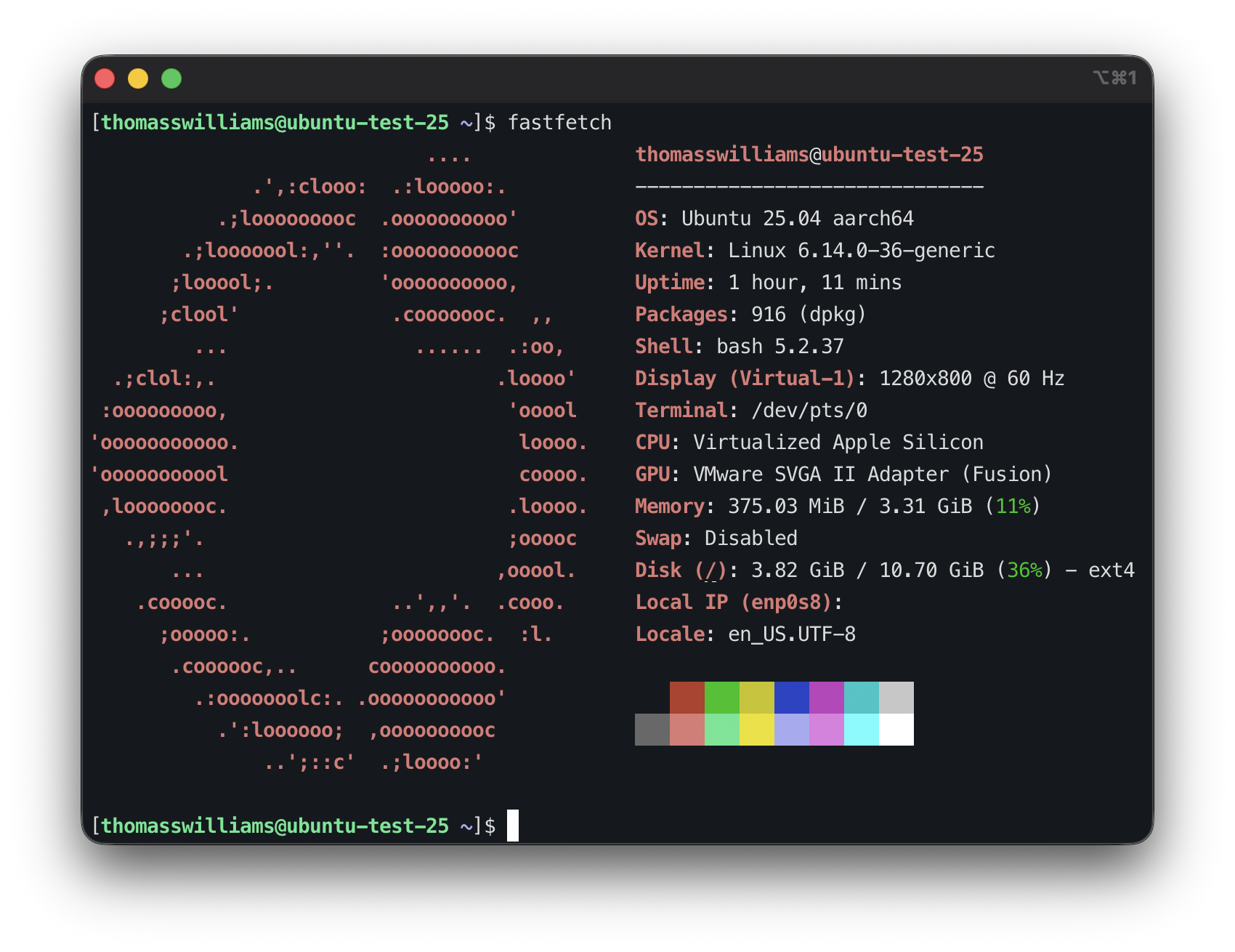 fastfetch output in Ubuntu 25.04 server VM on an M1 Mac